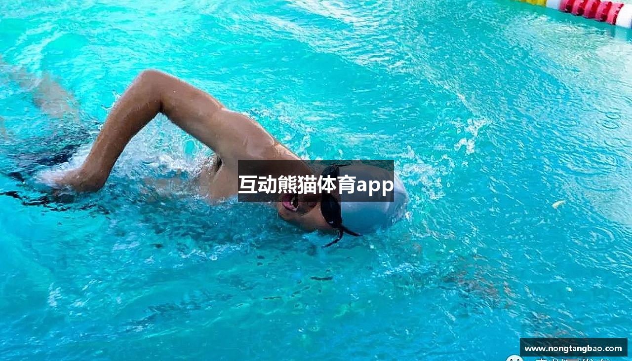 互动熊猫体育app